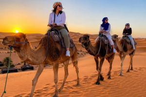 Grand Morocco Journey from Fes: A Complete Cultural, Desert, and Coastal Exploration