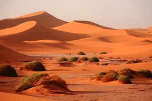 Morocco Desert Tours | Best Sahara Desert Adventures